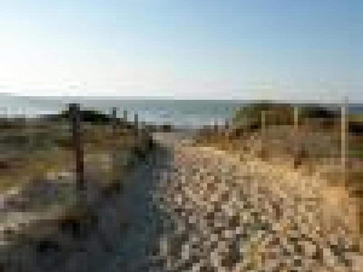 Appartement Cosy A 300M De L'Ocean Au Coeur De La Station - Balcon Et Parking Securise - Fr-1-239-144 Сеньосс Екстер'єр фото